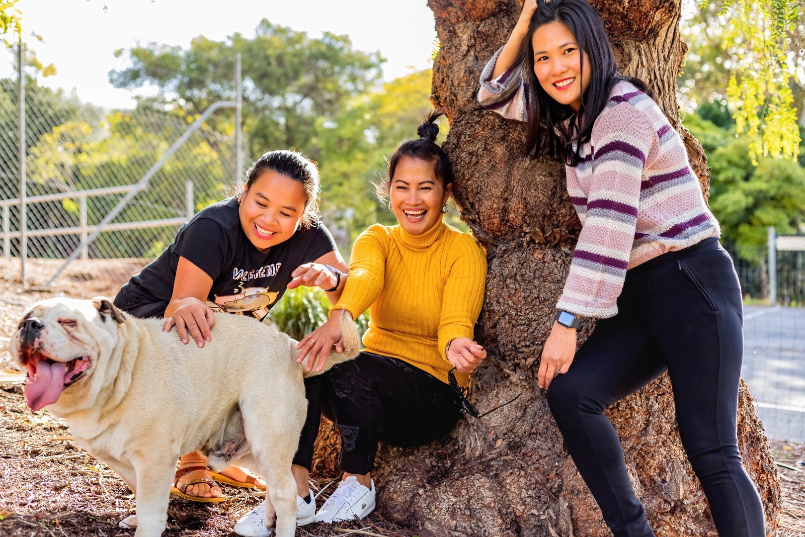 IMG_2406 (Large) (Web)